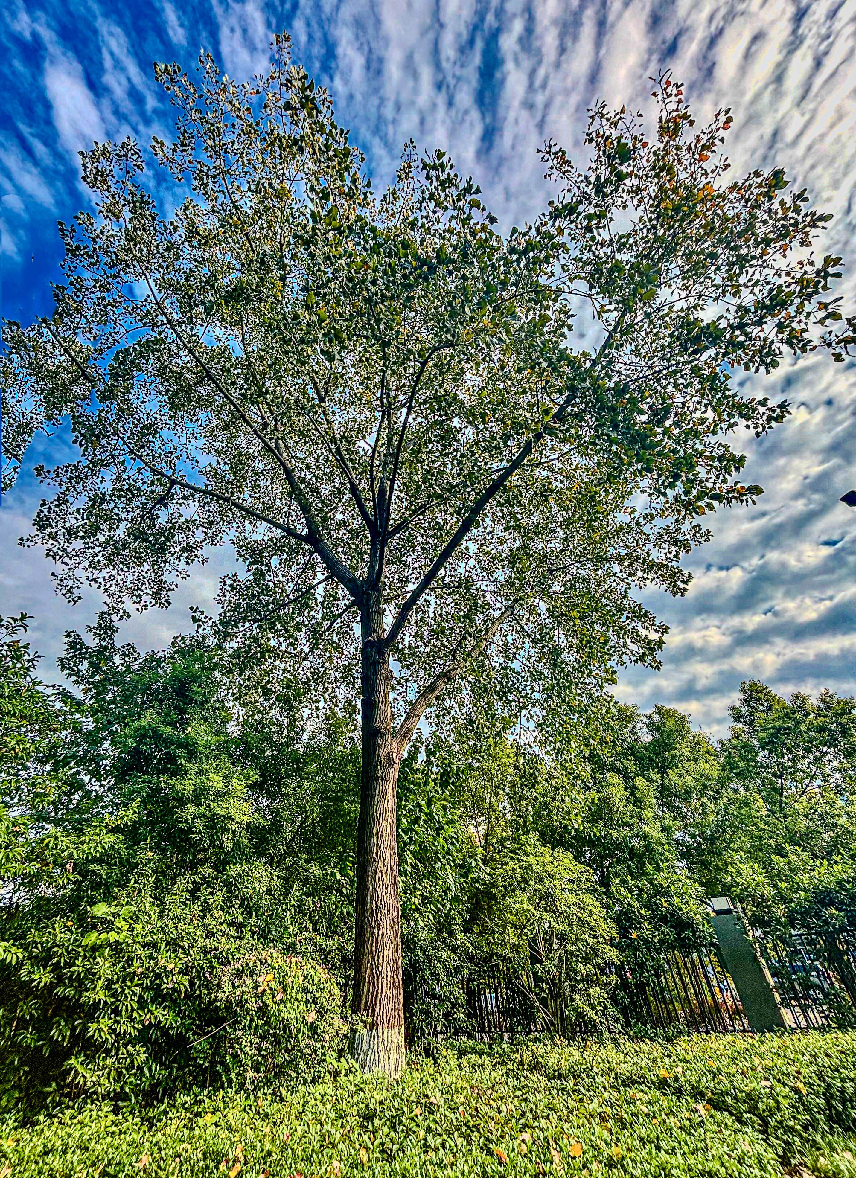 交流座谈会现场